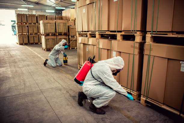 Best Emergency Pest Control  in Foreman, AR