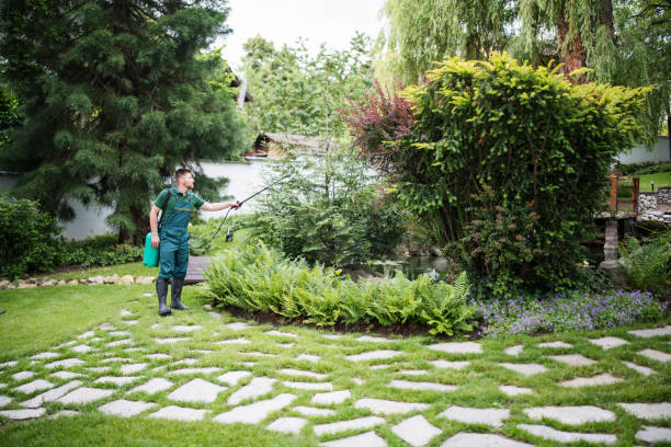 Best Pest Removal Services  in Foreman, AR