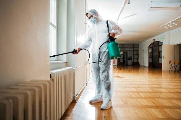 Best Affordable Exterminators  in Foreman, AR