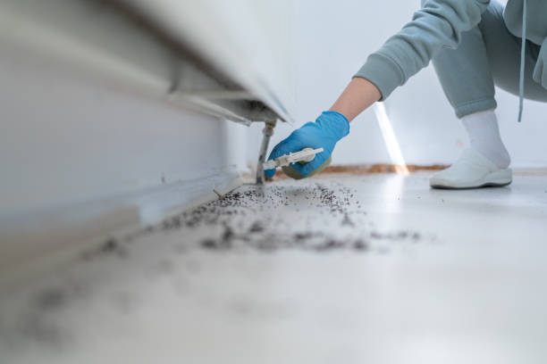 Best Pest Control Near Me in Foreman, AR